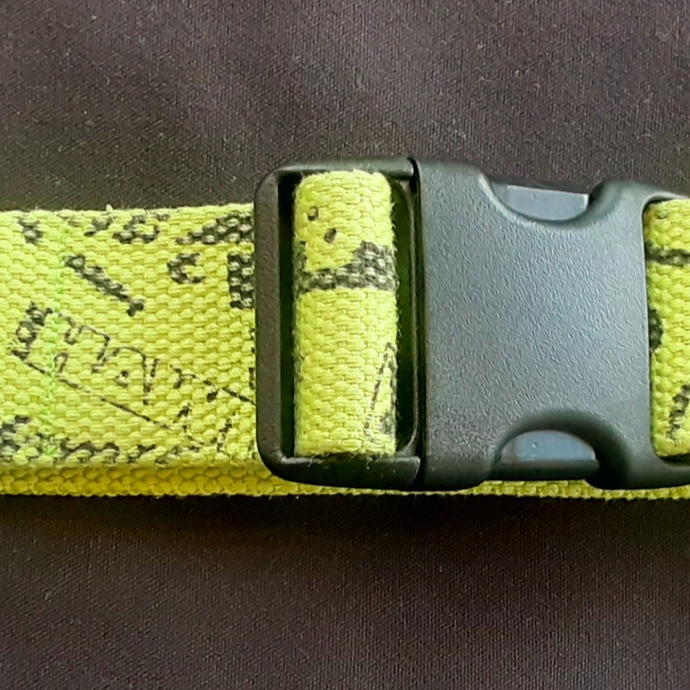 Tony Hawk Dog Collar